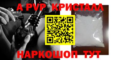 круглые Кингисепп