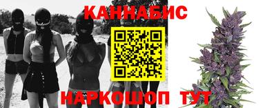 круглые Кингисепп