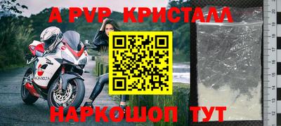 круглые Кингисепп